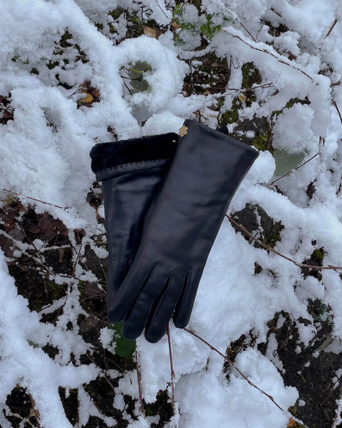 ANNA SHEARLING