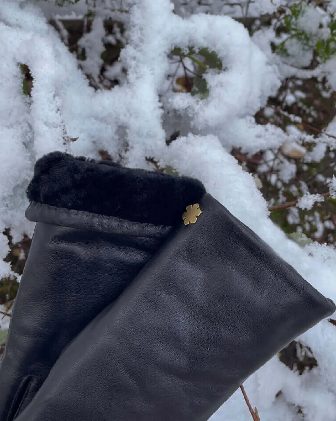 ANNA SHEARLING
