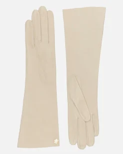 DAGMAR 6