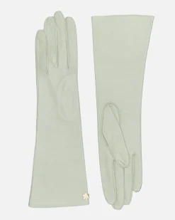 DAGMAR 6